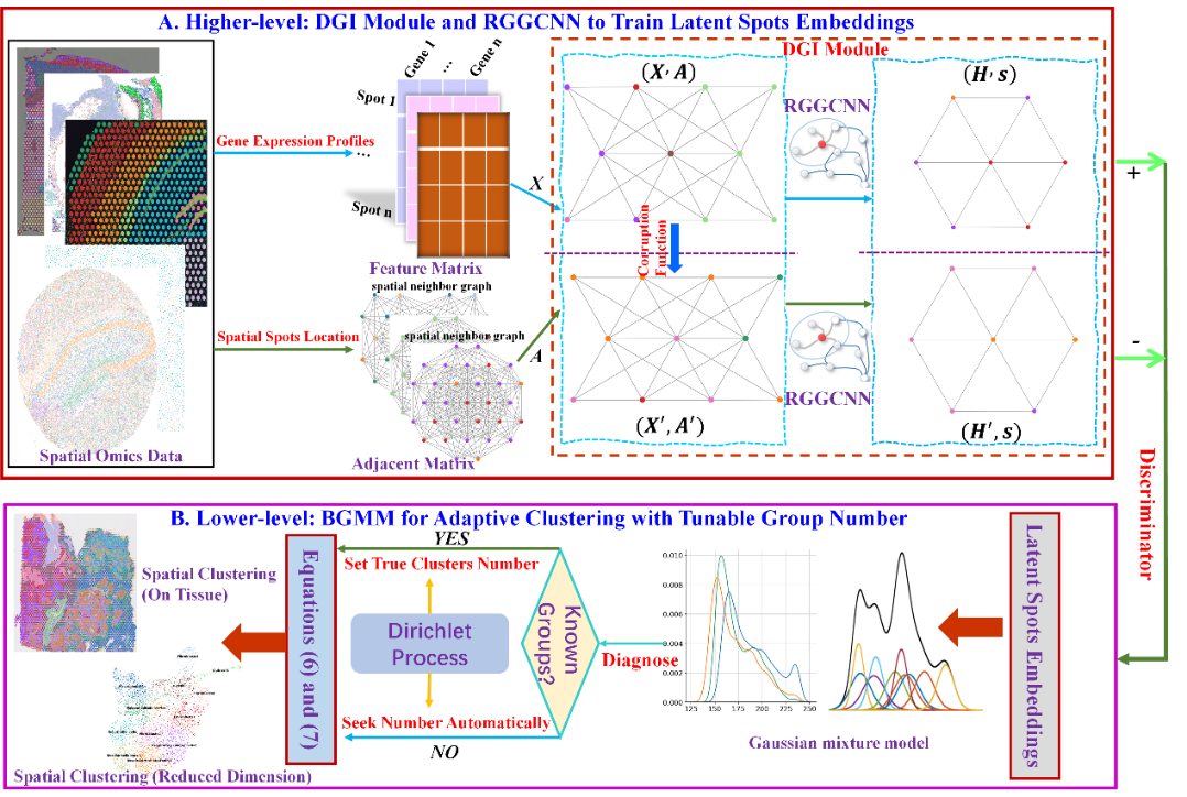 【研究前沿】重庆大学附属三峡医院印明柱教授团队发表基于图深度学习的空间转录组空间域识别框架