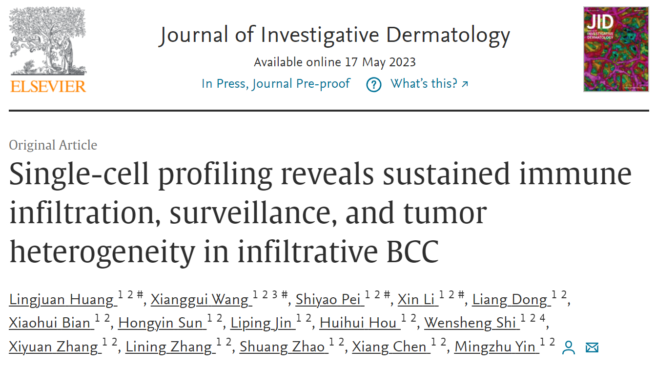 【研究前沿】单细胞转录组揭示浸润型基底细胞癌免疫微环境及其特异靶标MDK通路关键功能