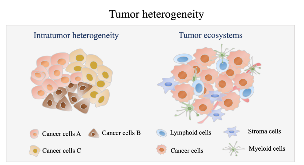 Genome Medicine | 刘琦团队提出单细胞组学驱动的泛癌肿瘤个体化组合用药的AI计算解决方案