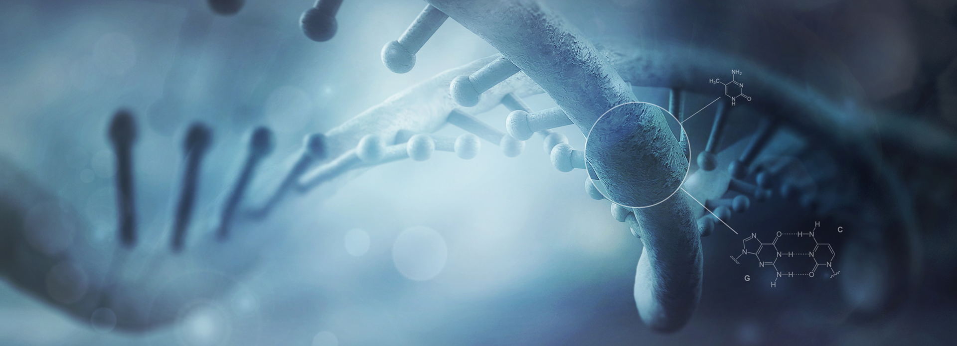 国家卫健委印发《全国出生缺陷综合防治方案》！