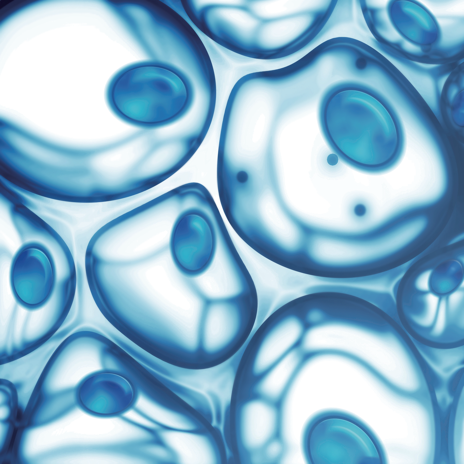  FR+CTC检测攻克肺结节病理诊断的障碍