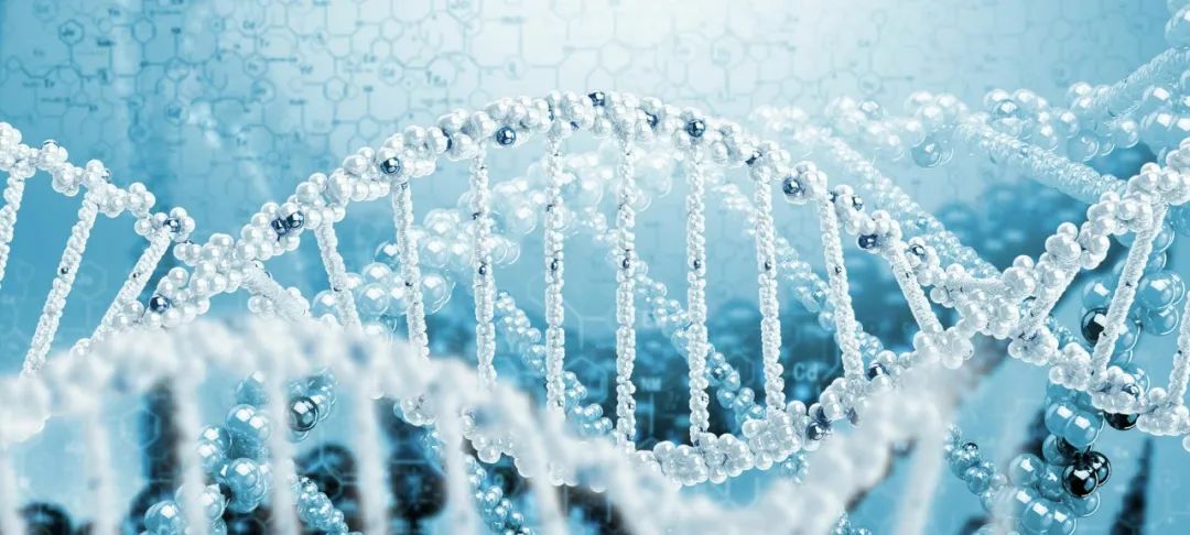 【干货】用于准确检测点突变的ARMS-PCR方法