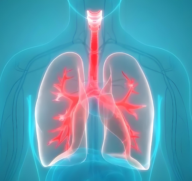 【JECCR】苏州大学沈明敬团队：发现肺癌免疫治疗潜在靶点